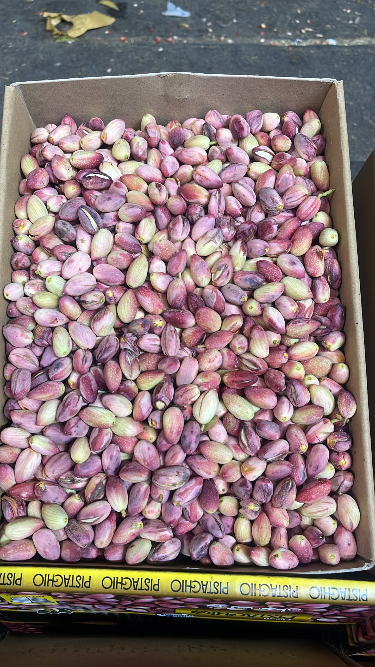 میوه و تره بار علی عوض در شیراز