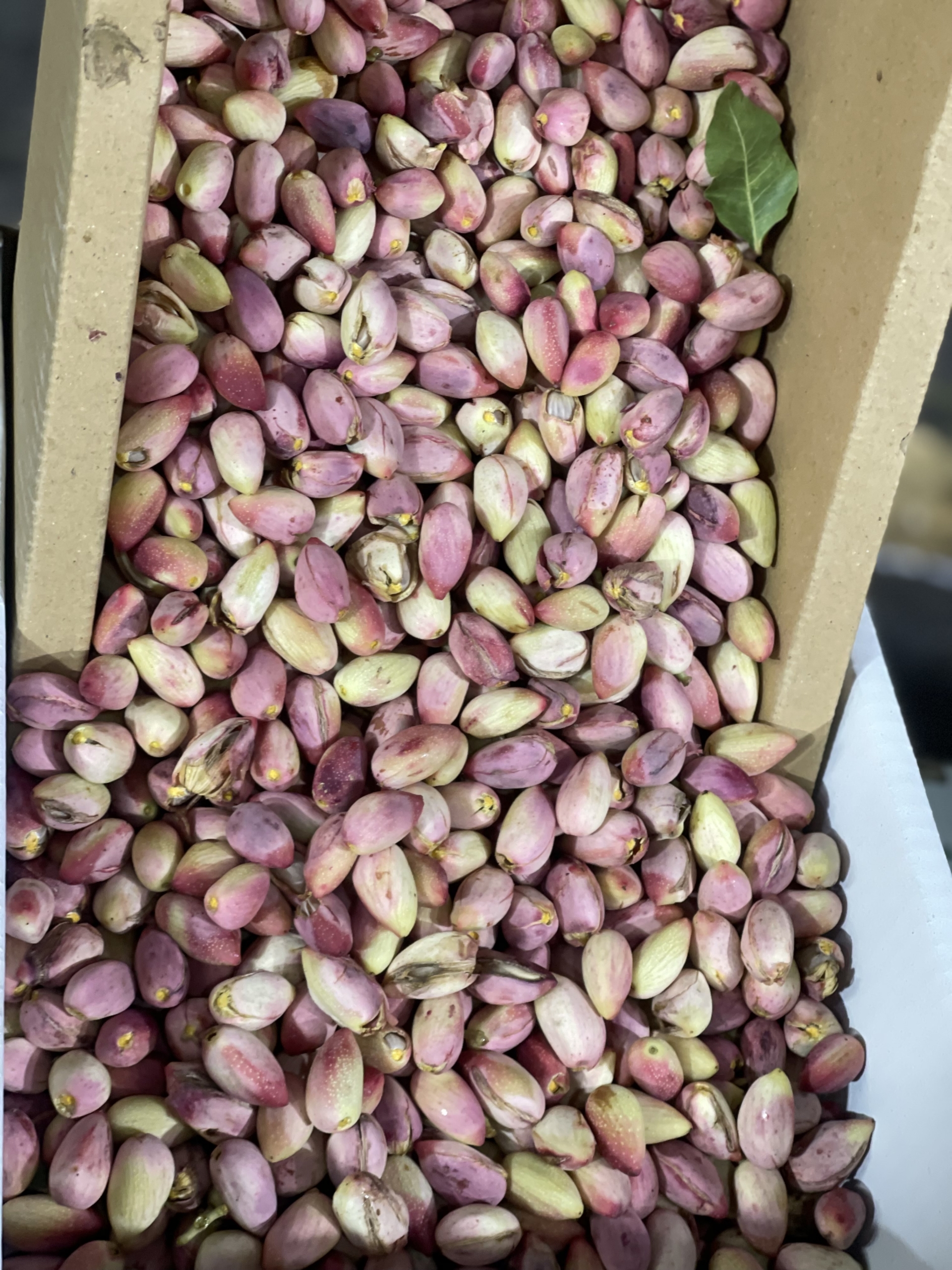 بهترین میوه و تره بار در شیراز
