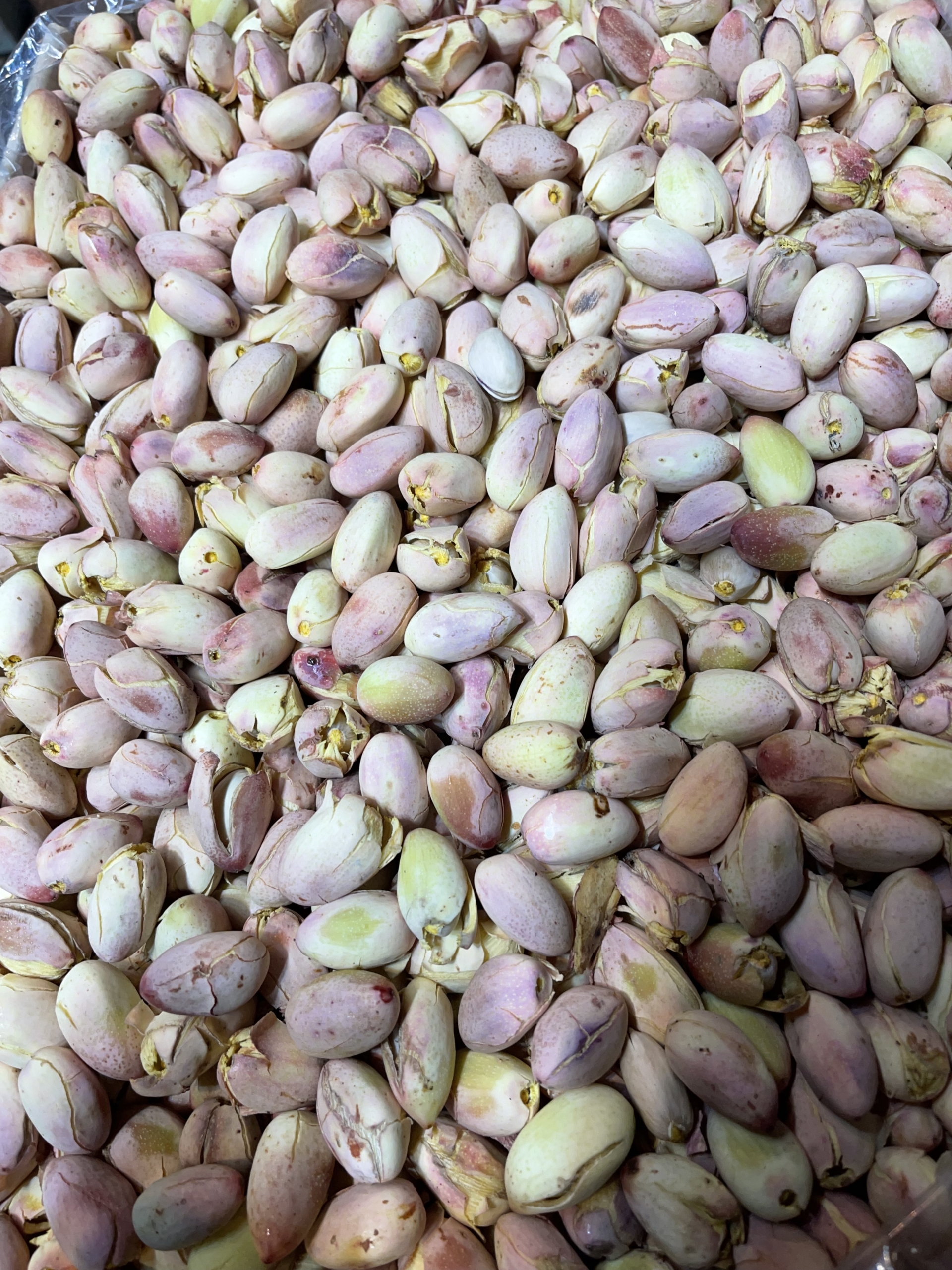 بهترین میوه و تره بار در شیراز